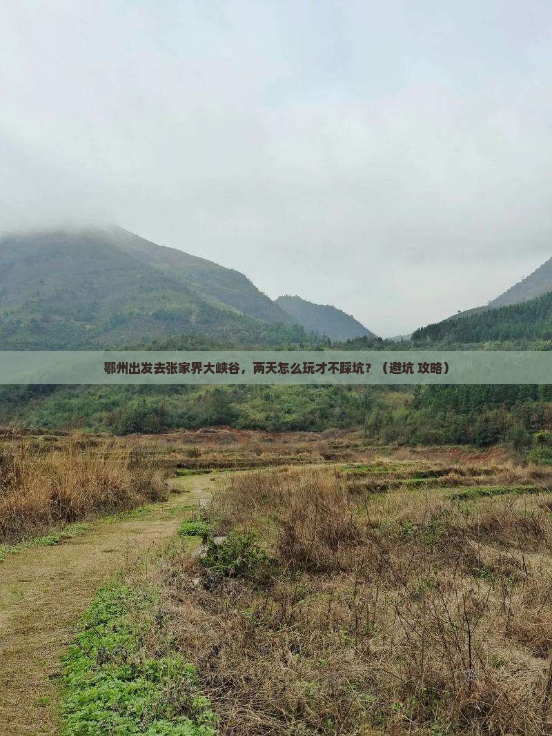 鄂州到张家界大峡谷二日游
