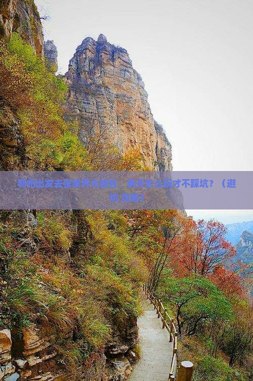 鄂州到张家界大峡谷二日游