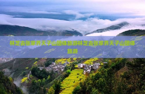 林芝去张家界天子山团体旅游
