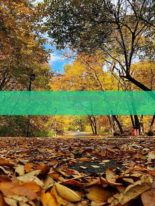 郴州去张家界天门山大型旅游团攻略：路程与景点详细介绍