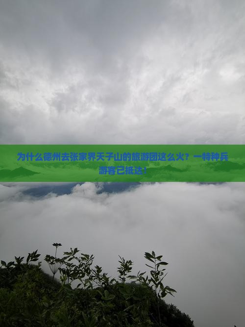 为什么德州去张家界天子山的旅游团这么火？一特种兵游客已抵达！