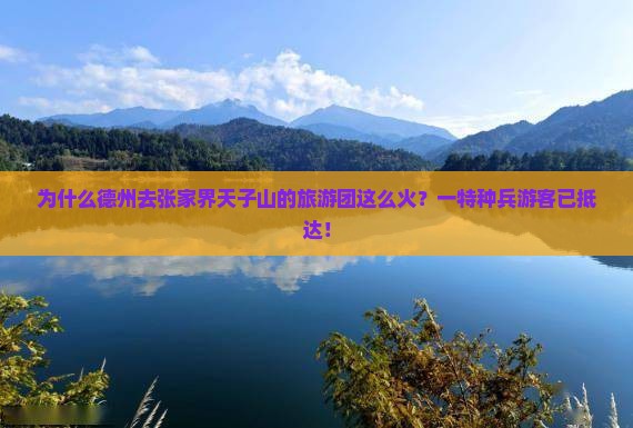 为什么德州去张家界天子山的旅游团这么火？一特种兵游客已抵达！