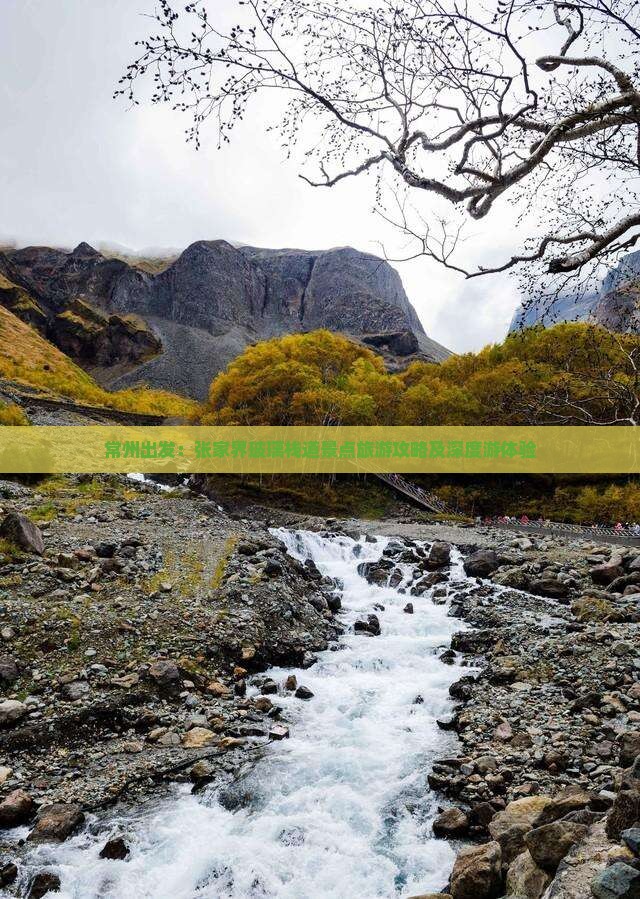 常州出发：张家界玻璃栈道景点旅游攻略及深度游体验