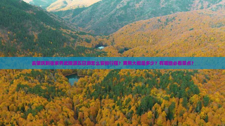 去肇庆到张家界武陵源五日游怎么安排行程？费用大概是多少？有哪些必看景点？