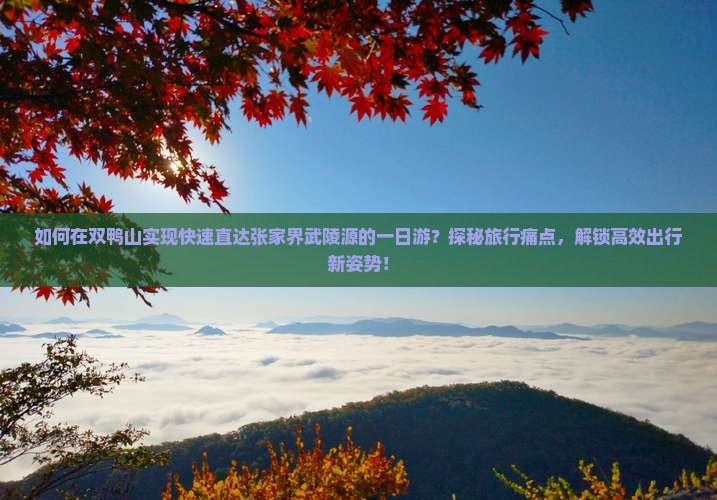 如何在双鸭山实现快速直达张家界武陵源的一日游？探秘旅行痛点，解锁高效出行新姿势！