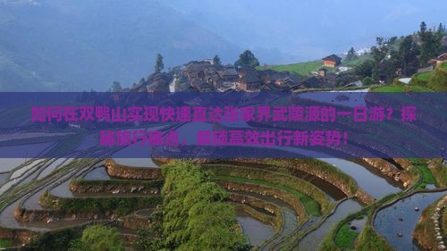 如何在双鸭山实现快速直达张家界武陵源的一日游？探秘旅行痛点，解锁高效出行新姿势！