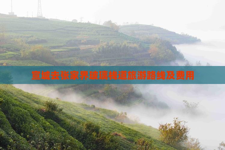宣城去张家界玻璃栈道旅游路线及费用