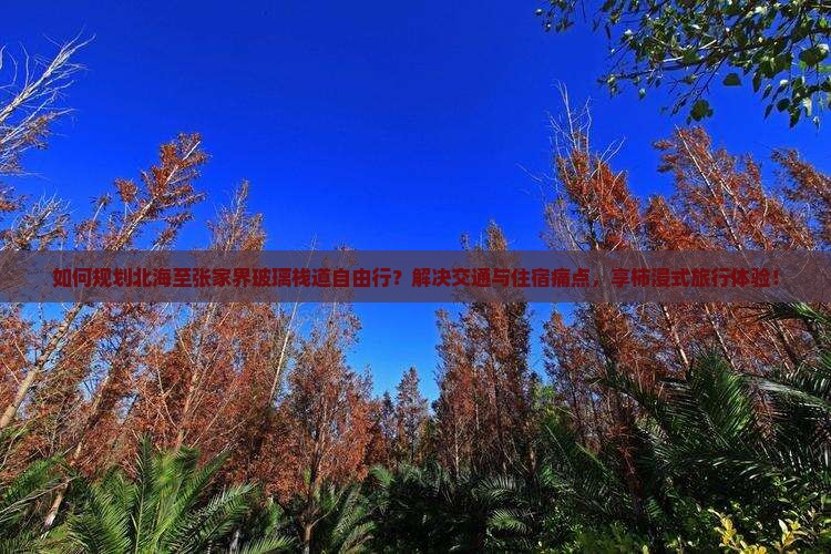 如何规划北海至张家界玻璃栈道自由行？解决交通与住宿痛点，享柿浸式旅行体验！