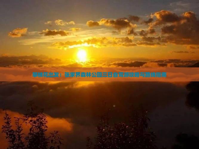 攀枝花出发：张家界森林公园三日自驾游攻略与路线指南