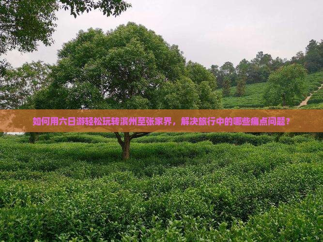 如何用六日游轻松玩转滨州至张家界，解决旅行中的哪些痛点问题？