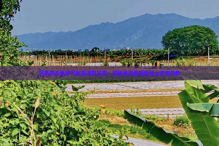 阿泰勒去张家界武陵源四日游：探秘自然奇观体验土家族风情