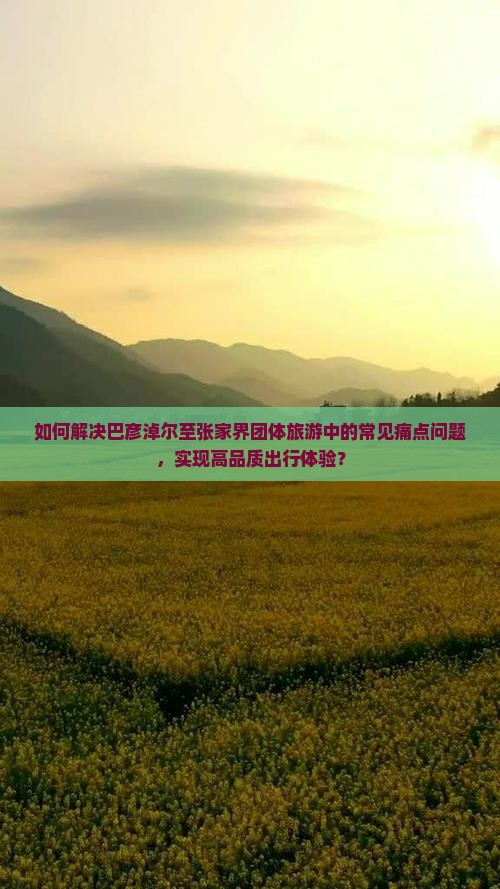 如何解决巴彦淖尔至张家界团体旅游中的常见痛点问题，实现高品质出行体验？