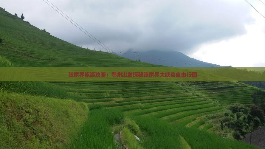 张家界旅游攻略：鄂州出发探秘张家界大峡谷自由行团