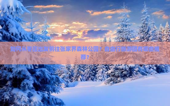 如何从枣庄出发前往张家界森林公园？自由行旅游团有哪些推荐？