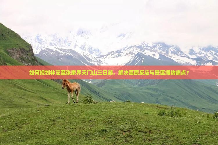 如何规划林芝至张家界天门山三日游，解决高原反应与景区拥堵痛点？