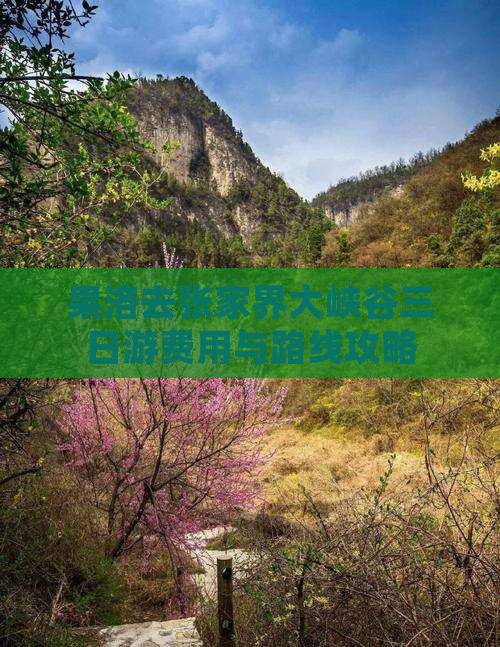 果洛去张家界大峡谷三日游费用与路线攻略