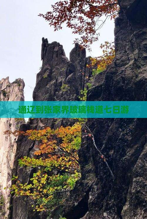 通辽到张家界玻璃栈道七日游