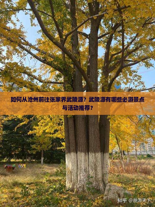 如何从沧州前往张家界武陵源？武陵源有哪些必游景点与活动推荐？