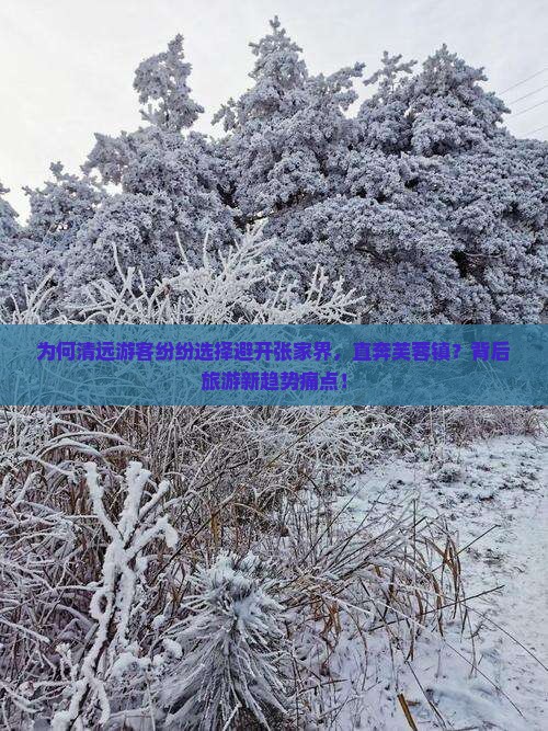 为何清远游客纷纷选择避开张家界，直奔芙蓉镇？背后旅游新趋势痛点！