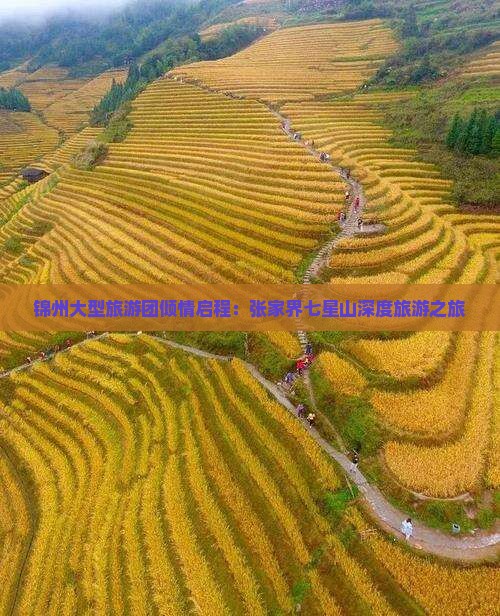 锦州大型旅游团倾情启程：张家界七星山深度旅游之旅