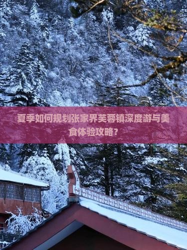夏季如何规划张家界芙蓉镇深度游与美食体验攻略？