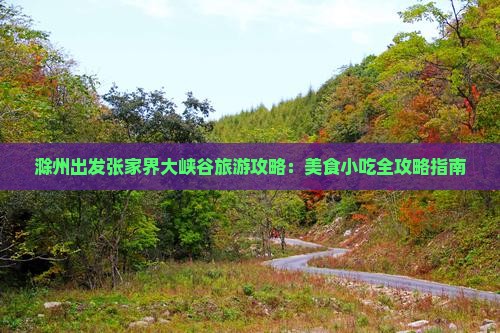 滁州出发张家界大峡谷旅游攻略：美食小吃全攻略指南