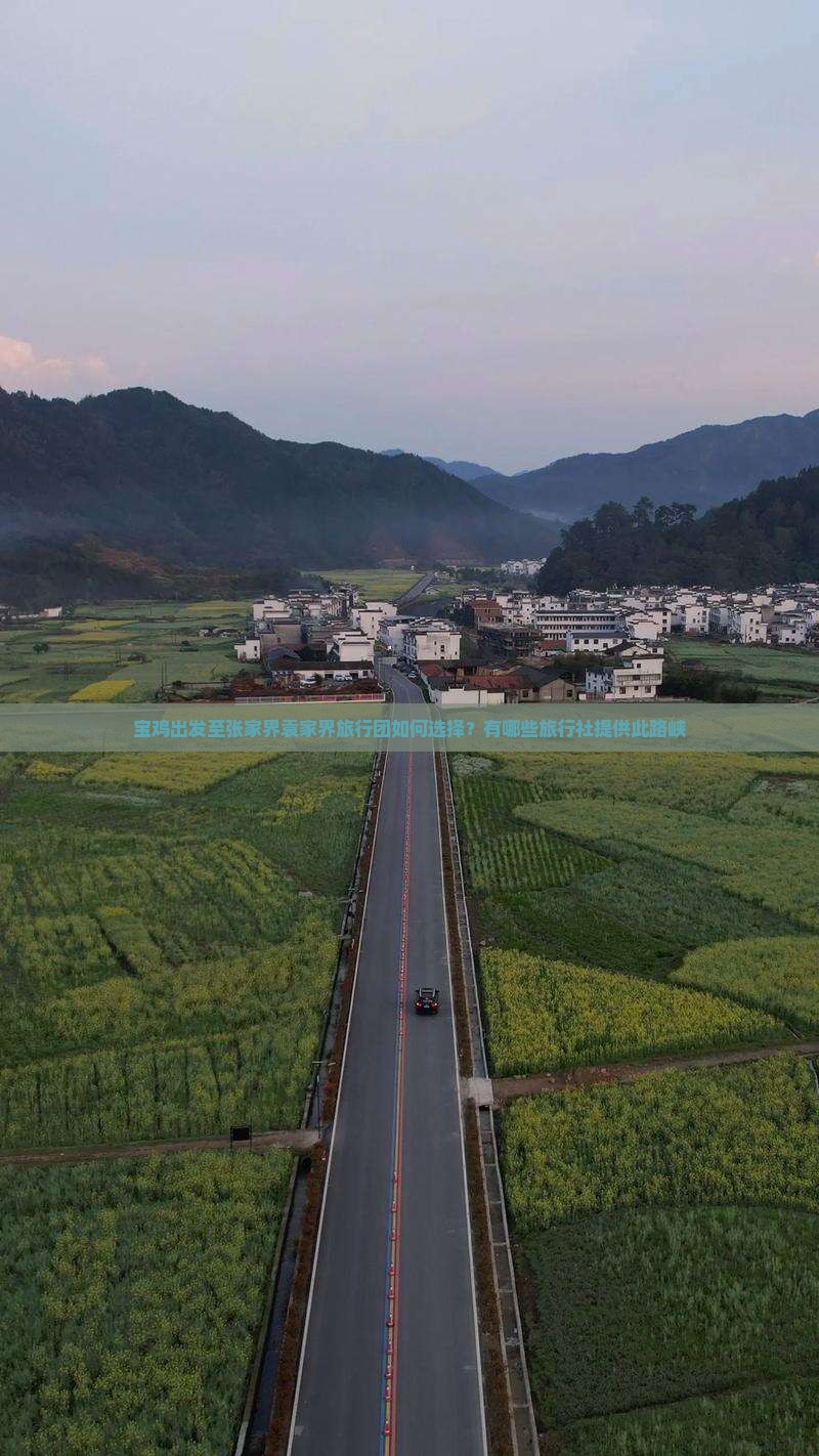 宝鸡出发至张家界袁家界旅行团如何选择？有哪些旅行社提供此路峡
