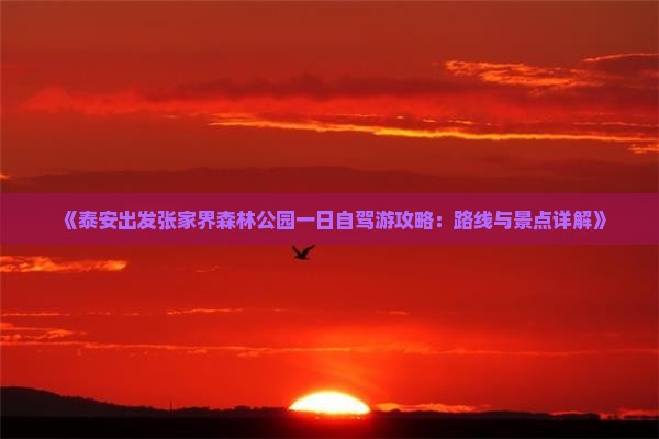 《泰安出发张家界森林公园一日自驾游攻略：路线与景点详解》