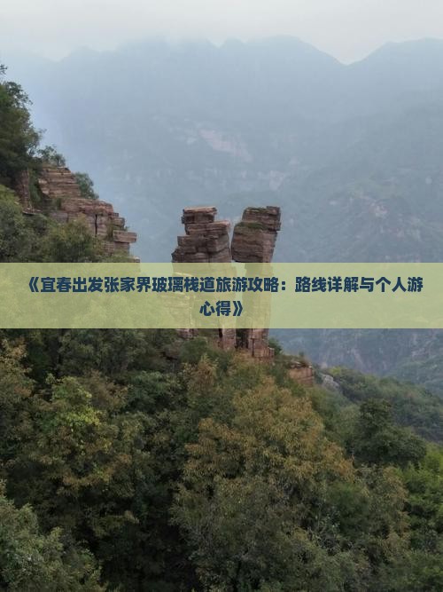《宜春出发张家界玻璃栈道旅游攻略：路线详解与个人游心得》