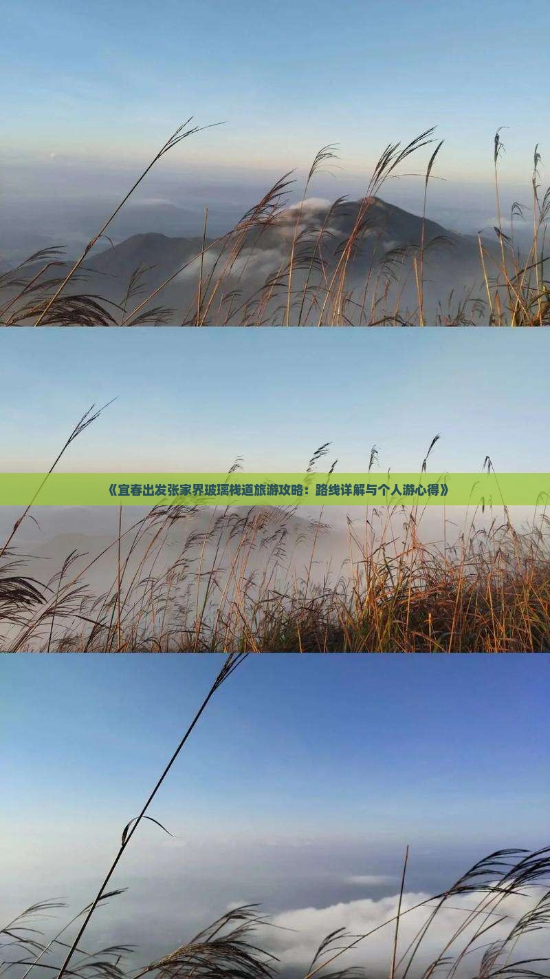 《宜春出发张家界玻璃栈道旅游攻略：路线详解与个人游心得》
