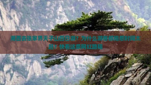湘西去张家界天子山四日游？为什么游客都抱怨时间太赶？快看这条网红路稀