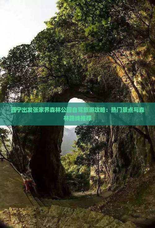 西宁出发张家界森林公园自驾旅游攻略：热门景点与森林路线推荐