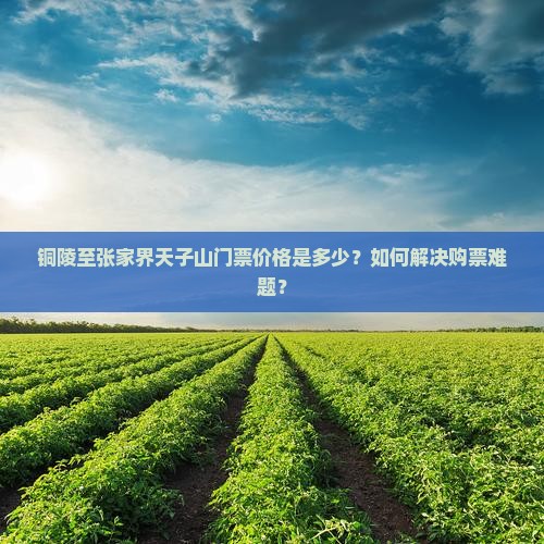 铜陵至张家界天子山门票价格是多少？如何解决购票难题？