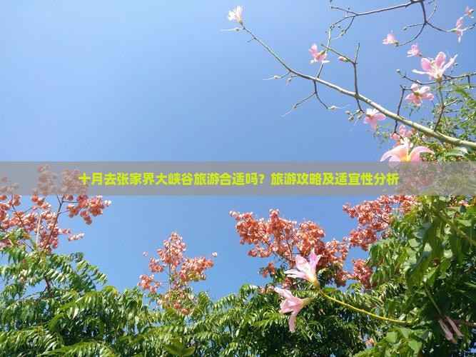 十月去张家界大峡谷旅游合适吗？旅游攻略及适宜性分析