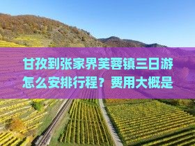 甘孜到张家界芙蓉镇三日游怎么安排行程？费用大概是多少？需要准备什么？