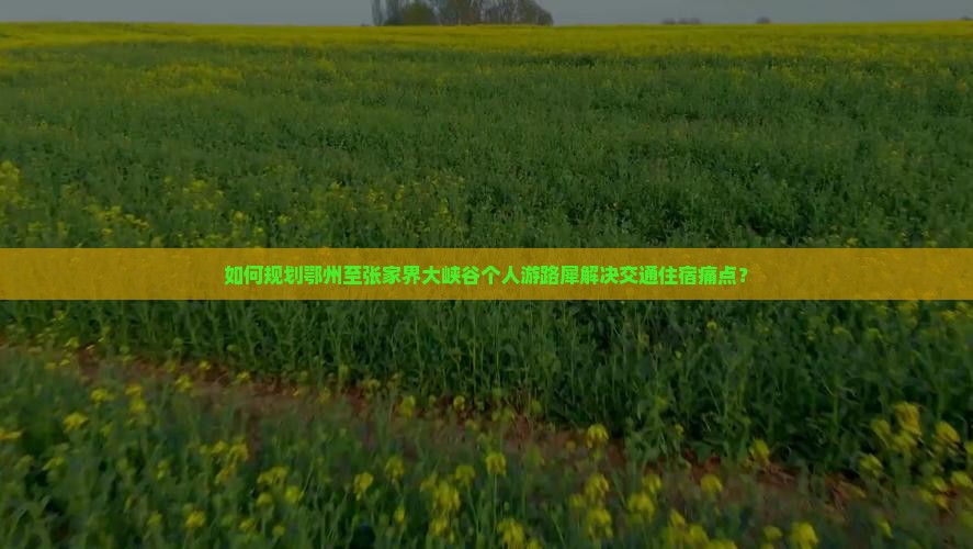 如何规划鄂州至张家界大峡谷个人游路犀解决交通住宿痛点？