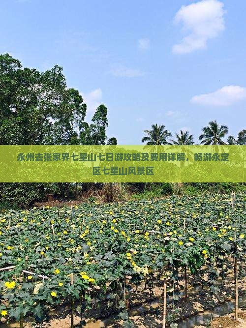永州去张家界七星山七日游攻略及费用详解，畅游永定区七星山风景区