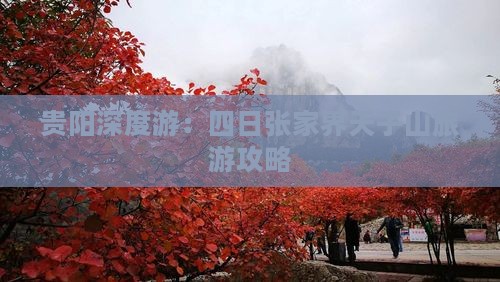 贵阳深度游：四日张家界天子山旅游攻略