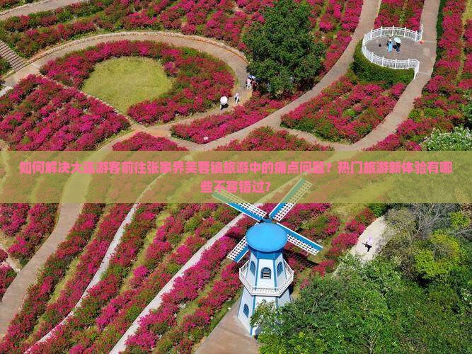 如何解决大连游客前往张家界芙蓉镇旅游中的痛点问题？热门旅游新体验有哪些不容错过？