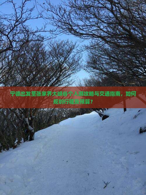 宁德出发至张家界大峡谷个人游攻略与交通指南，如何规划行程及预算？
