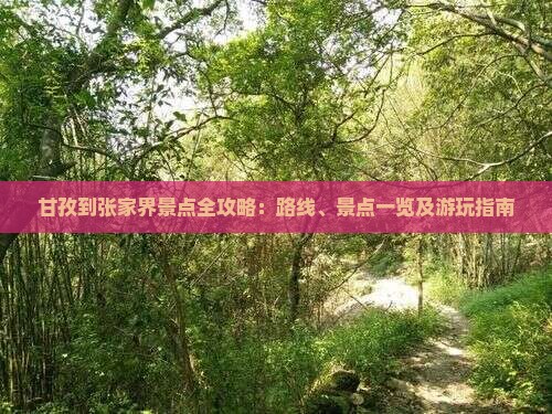 甘孜到张家界景点全攻略：路线、景点一览及游玩指南