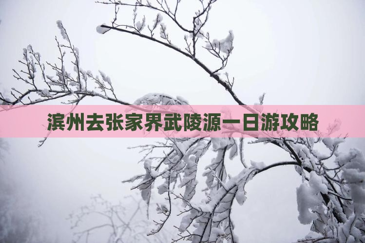 滨州去张家界武陵源一日游攻略