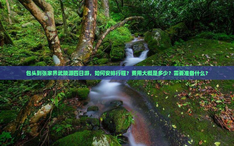 包头到张家界武陵源四日游，如何安排行程？费用大概是多少？需要准备什么？