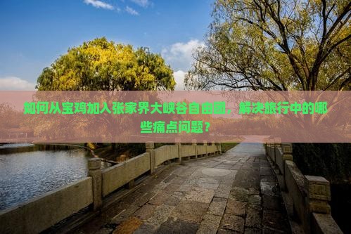 如何从宝鸡加入张家界大峡谷自由团，解决旅行中的哪些痛点问题？