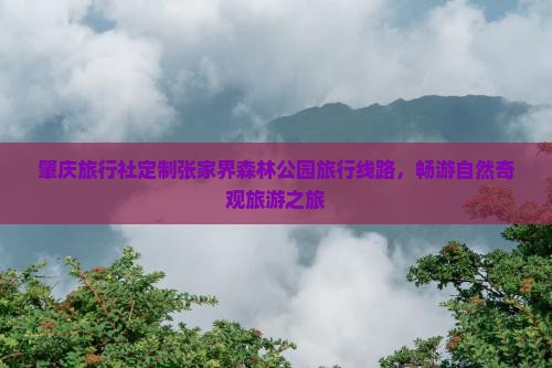 肇庆旅行社定制张家界森林公园旅行线路，畅游自然奇观旅游之旅