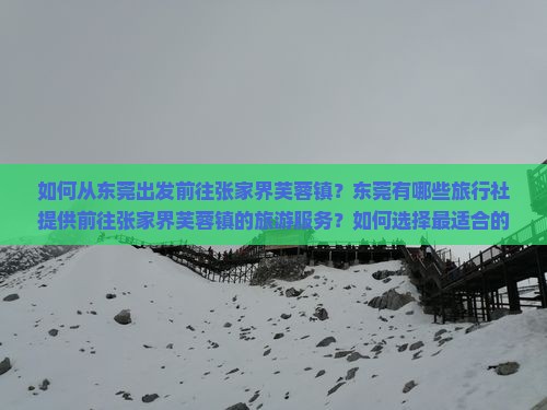 如何从东莞出发前往张家界芙蓉镇？东莞有哪些旅行社提供前往张家界芙蓉镇的旅游服务？如何选择最适合的旅行社？