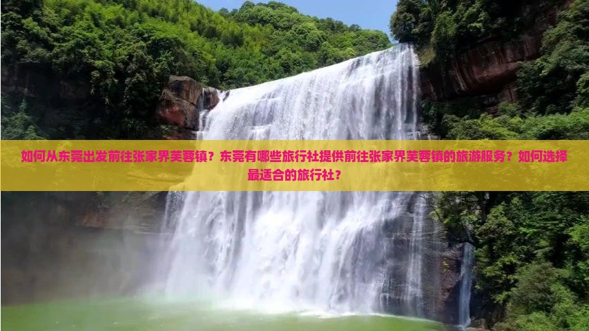 如何从东莞出发前往张家界芙蓉镇？东莞有哪些旅行社提供前往张家界芙蓉镇的旅游服务？如何选择最适合的旅行社？