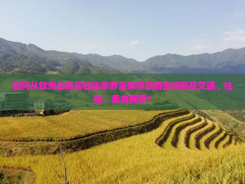 如何从钦州出发前往张家界袁家界旅游全攻略及交通、住宿、美食推荐？