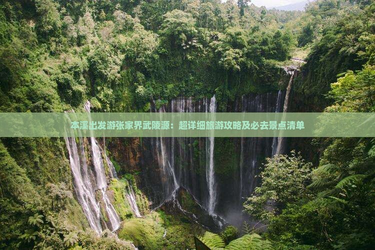 本溪出发游张家界武陵源：超详细旅游攻略及必去景点清单
