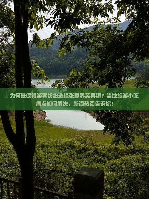 为何景德镇游客纷纷选择张家界芙蓉镇？当地旅游小吃痛点如何解决，新词热词告诉你！